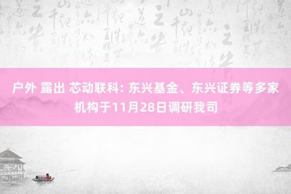 户外 露出 芯动联科: 东兴基金、东兴证券等多家机构于11月28日调研我司