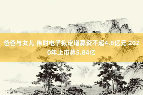 爸爸与女儿 伟时电子拟定增募资不超4.8亿元 2020年上市募5.84亿