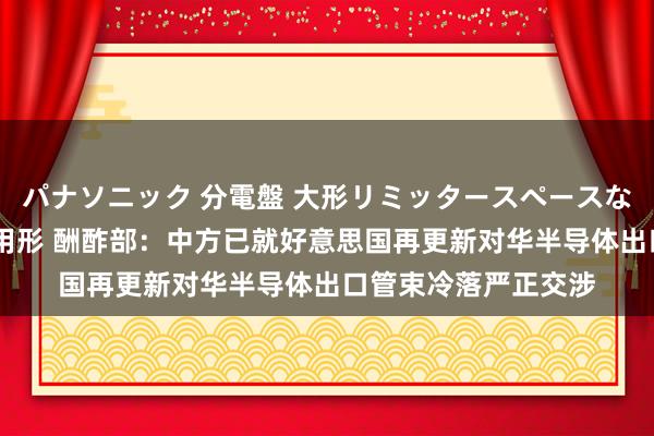 パナソニック 分電盤 大形リミッタースペースなし 露出・半埋込両用形 酬酢部：中方已就好意思国再更新对华半导体出口管束冷落严正交涉