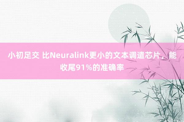 小初足交 比Neuralink更小的文本调遣芯片，能收尾91%的准确率