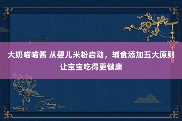 大奶喵喵酱 从婴儿米粉启动，辅食添加五大原则让宝宝吃得更健康