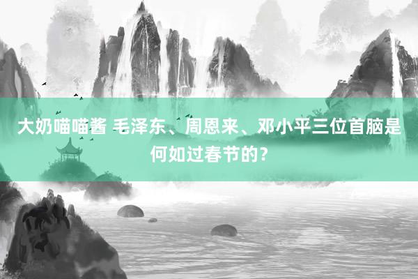 大奶喵喵酱 毛泽东、周恩来、邓小平三位首脑是何如过春节的？