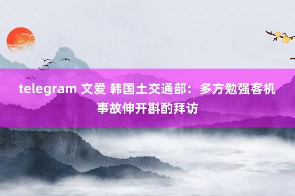 telegram 文爱 韩国土交通部：多方勉强客机事故伸开斟酌拜访