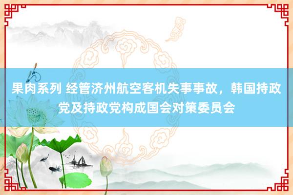 果肉系列 经管济州航空客机失事事故，韩国持政党及持政党构成国会对策委员会