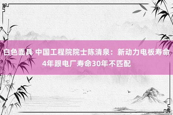 白色面具 中国工程院院士陈清泉：新动力电板寿命4年跟电厂寿命30年不匹配