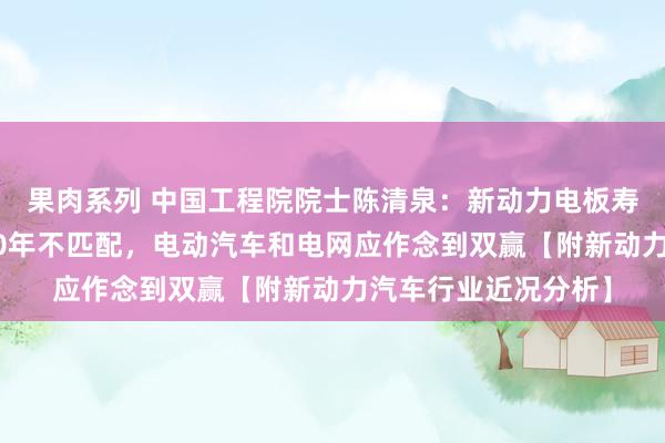 果肉系列 中国工程院院士陈清泉：新动力电板寿命4年跟电厂寿命30年不匹配，电动汽车和电网应作念到双赢【附新动力汽车行业近况分析】