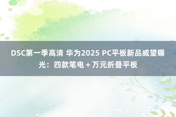 DSC第一季高清 华为2025 PC平板新品威望曝光：四款笔电＋万元折叠平板