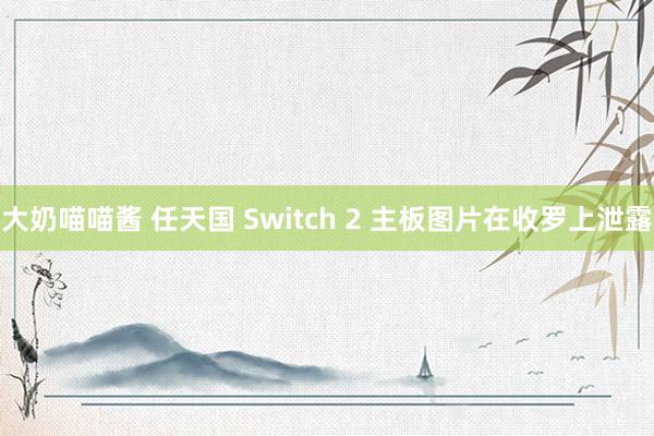 大奶喵喵酱 任天国 Switch 2 主板图片在收罗上泄露