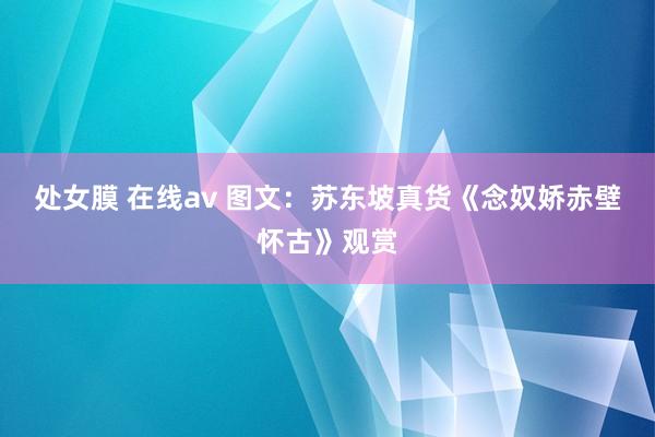 处女膜 在线av 图文：苏东坡真货《念奴娇赤壁怀古》观赏