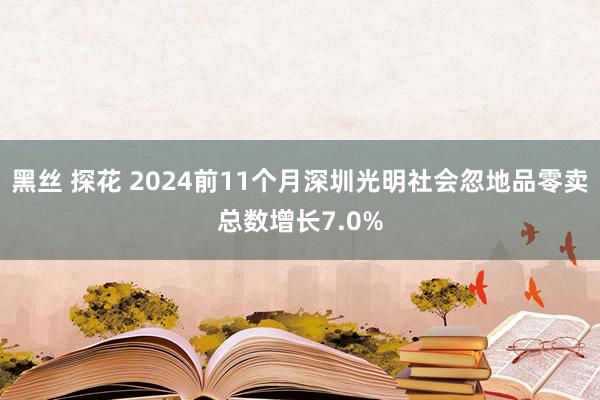 黑丝 探花 2024前11个月深圳光明社会忽地品零卖总数增长7.0%