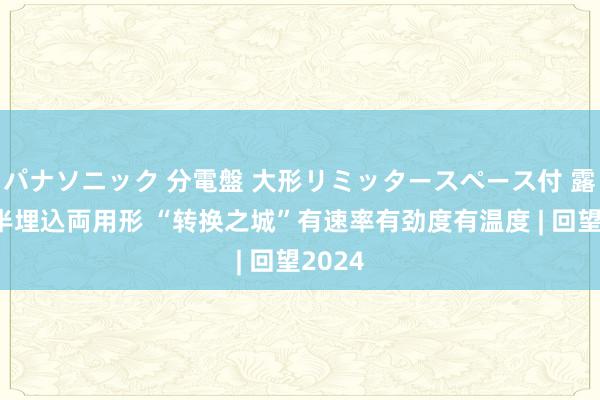 パナソニック 分電盤 大形リミッタースペース付 露出・半埋込両用形 “转换之城”有速率有劲度有温度 | 回望2024