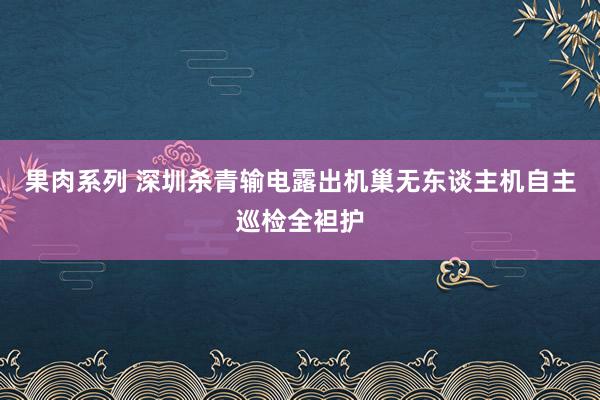 果肉系列 深圳杀青输电露出机巢无东谈主机自主巡检全袒护