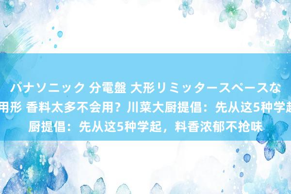 パナソニック 分電盤 大形リミッタースペースなし 露出・半埋込両用形 香料太多不会用？川菜大厨提倡：先从这5种学起，料香浓郁不抢味