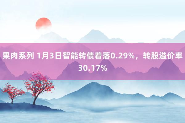 果肉系列 1月3日智能转债着落0.29%，转股溢价率30.17%