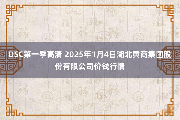 DSC第一季高清 2025年1月4日湖北黄商集团股份有限公司价钱行情