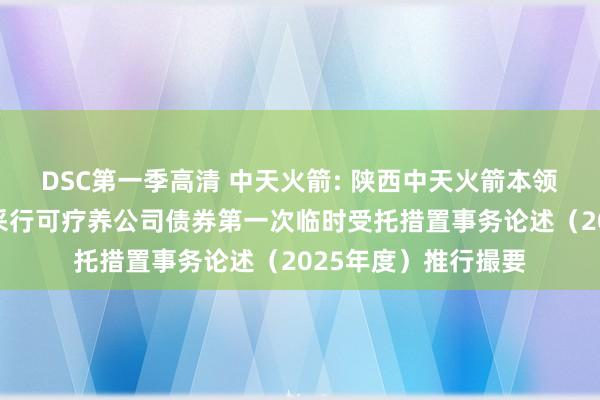 DSC第一季高清 中天火箭: 陕西中天火箭本领股份有限公司公开采行可疗养公司债券第一次临时受托措置事务论述（2025年度）推行撮要