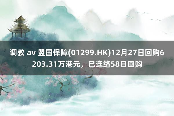 调教 av 盟国保障(01299.HK)12月27日回购6203.31万港元，已连络58日回购