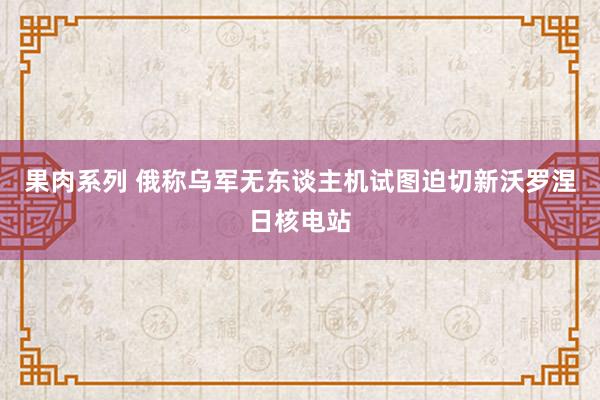 果肉系列 俄称乌军无东谈主机试图迫切新沃罗涅日核电站