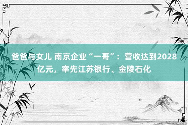 爸爸与女儿 南京企业“一哥”：营收达到2028亿元，率先江苏银行、金陵石化