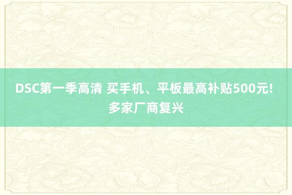 DSC第一季高清 买手机、平板最高补贴500元! 多家厂商复兴