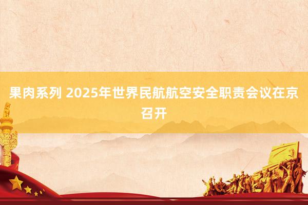 果肉系列 2025年世界民航航空安全职责会议在京召开