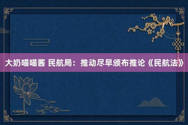 大奶喵喵酱 民航局：推动尽早颁布推论《民航法》