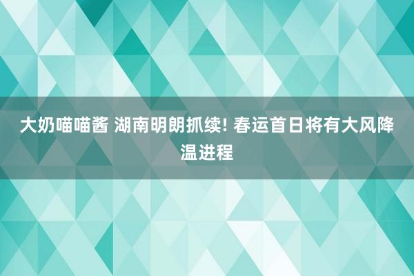 大奶喵喵酱 湖南明朗抓续! 春运首日将有大风降温进程