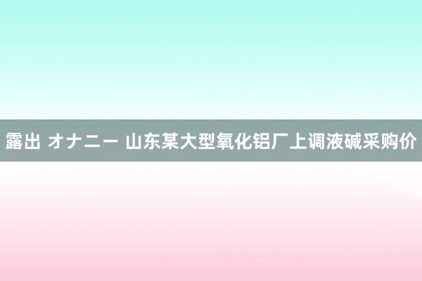 露出 オナニー 山东某大型氧化铝厂上调液碱采购价