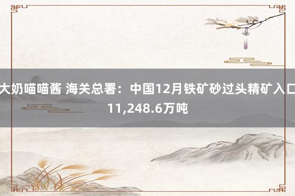 大奶喵喵酱 海关总署：中国12月铁矿砂过头精矿入口11，248.6万吨