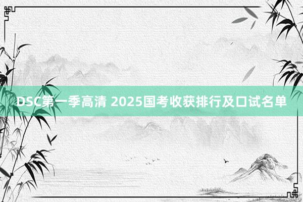 DSC第一季高清 2025国考收获排行及口试名单