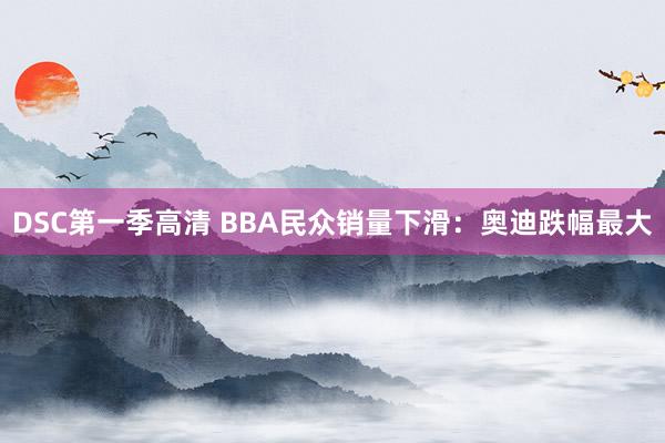 DSC第一季高清 BBA民众销量下滑：奥迪跌幅最大