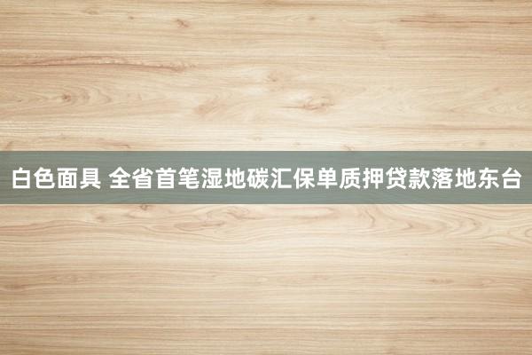 白色面具 全省首笔湿地碳汇保单质押贷款落地东台