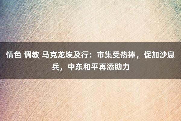 情色 调教 马克龙埃及行：市集受热捧，促加沙息兵，中东和平再添助力