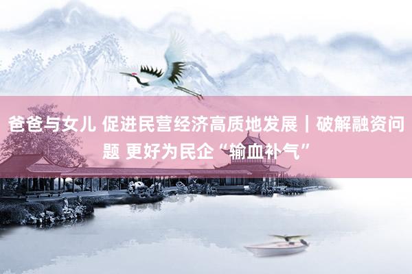 爸爸与女儿 促进民营经济高质地发展｜破解融资问题 更好为民企“输血补气”